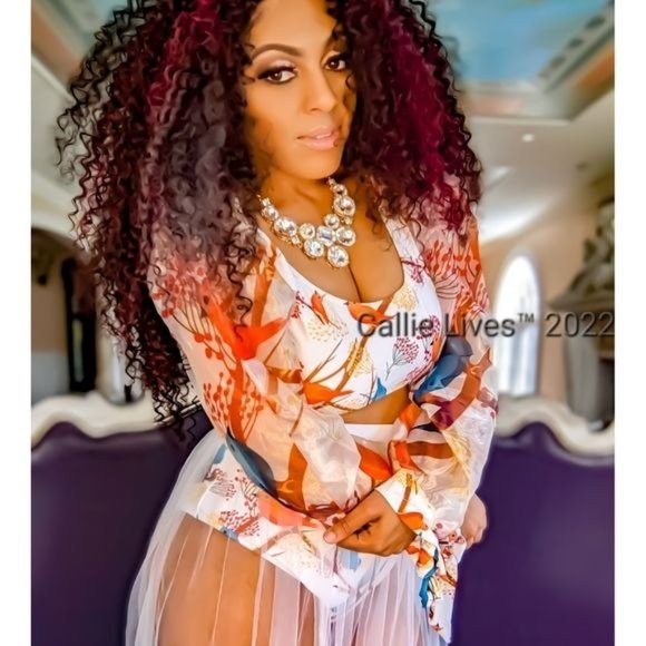 Callie Humminbird: Sheer Puff Chiffon Sleeve Bikini Swimsuit Large - Picture 3 of 15